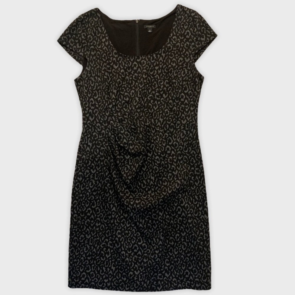 Animal print dress Ann Taylor Womens size 12
